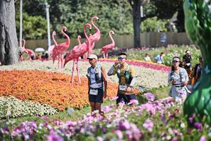 BIB: 
                            <button type="button" onclick="openModal(27794374)" class="btn btn-primary btn-sm float-right btn-popup" data-toggle="modal" data-target=".modal-high-quality">
                        <i class="fas fa-shopping-cart"></i> Add to Cart
                    </button>
                                            <button type="button" onclick="isThisMe(27794374, true)" class="btn btn-success btn-sm float-right btn-popup btn-isme hidden" data-toggle="tooltip" data-placement="bottom" title="นี่คือรูปของคุณใช่ไหม คลิกที่นี่เพื่อเอาเข้าอัลบั้ม">
                        <i class="fas fa-plus"></i> Add to album
                    </button>
                    <button type="button" onclick="isThisMe(27794374, false)" class="btn btn-warning btn-sm float-right btn-popup btn-isnotme hidden">
                        <i class="fas fa-ban"></i> Remove from album
                    </button>